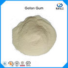 High Transparency High Acyl / Low Acyl Gellan Gum Powder For Drink Production Food Grade
